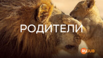 player-Parenthood-S1-bbc